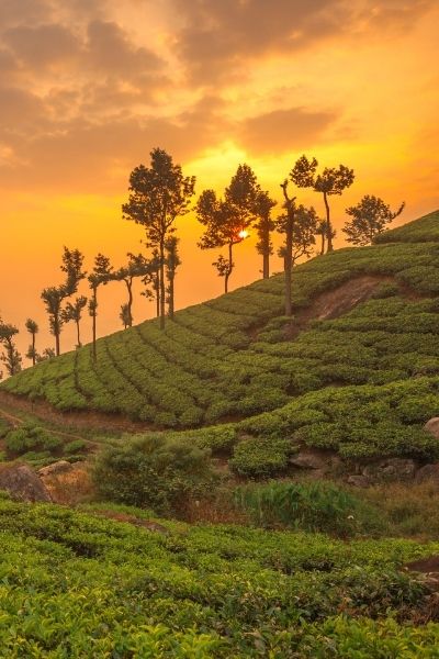 Munnar