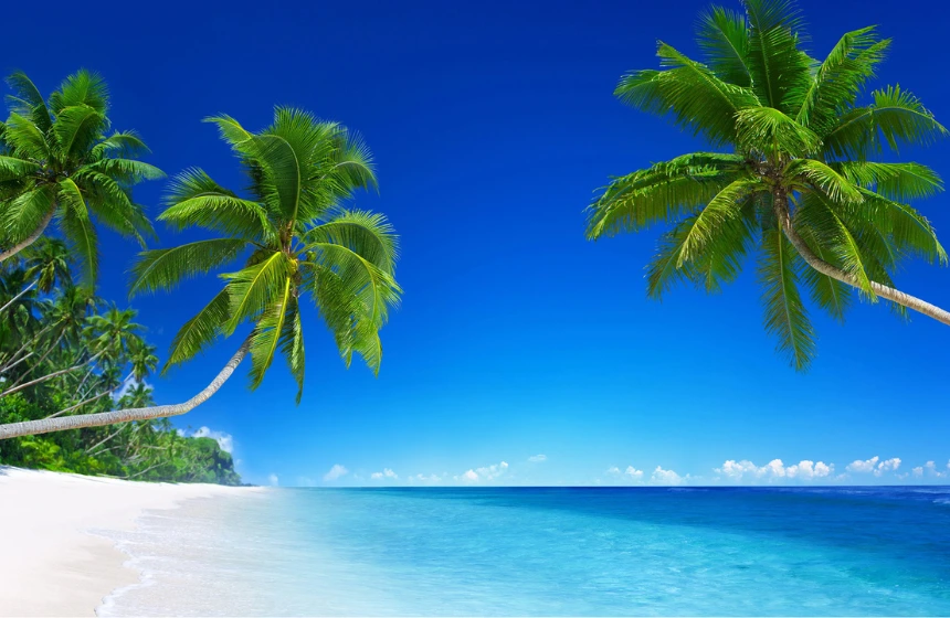 blue-sea-and-white-sand-and coconut-trees