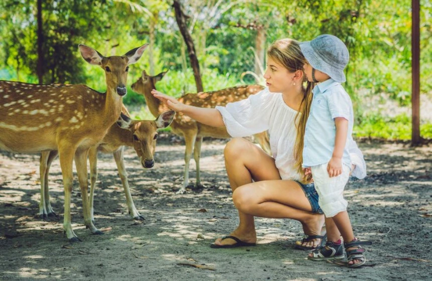 a-girl-giving-food-to-deer
