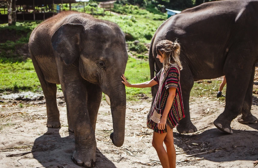 a-white-girl-interacting-with-two-elephants-in-a-forest-background