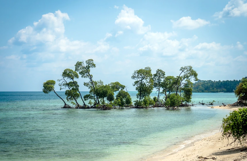 blue-island-where-a-small-island-contains-trees-in-it