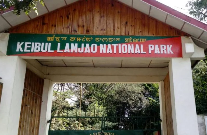 Keibul-Lamjao-National-Park