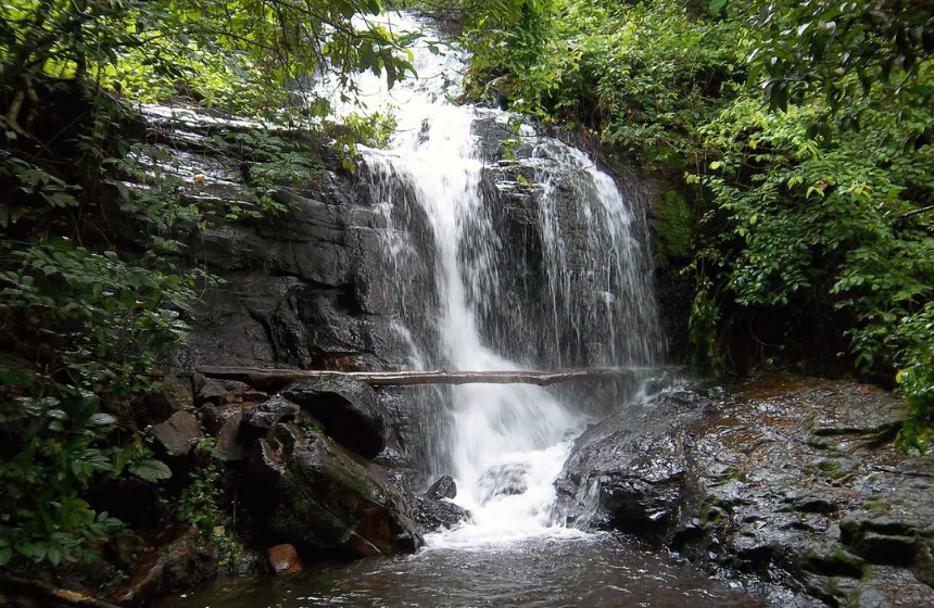 pattathipara waterfall