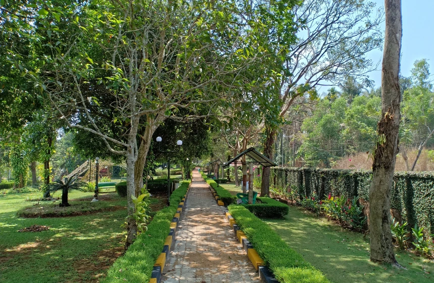 garden pathway with paving stone