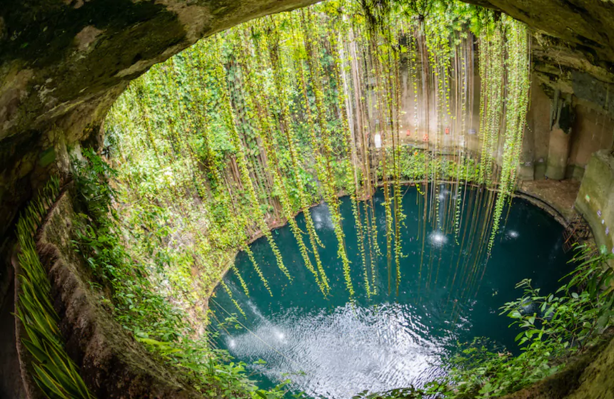 deep well with green surroundings