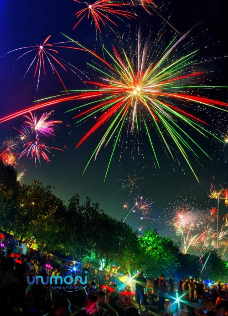colourful Fireworks in night