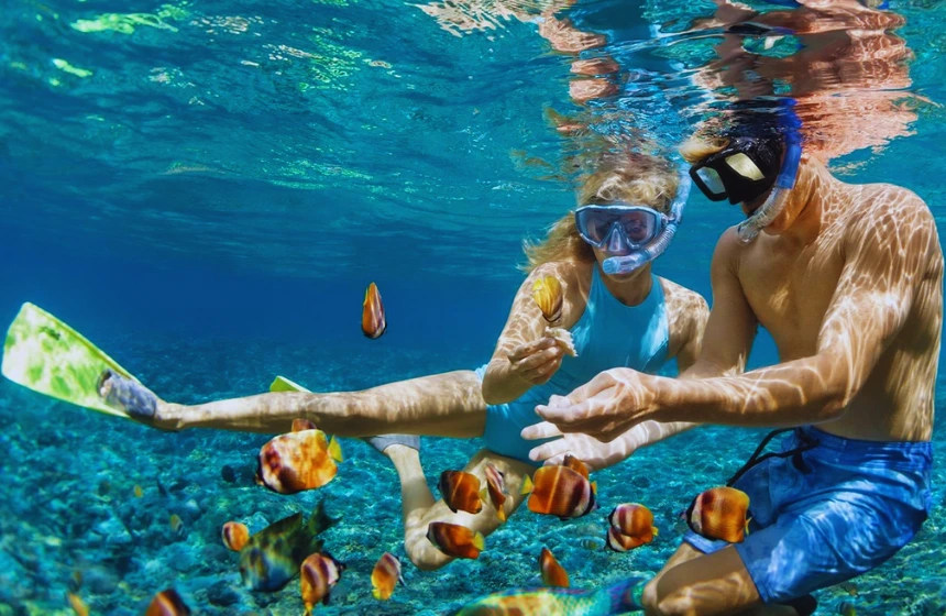 snorkelling with beautiful fishes around