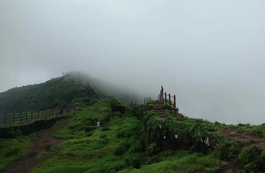 mountain filled with fogg