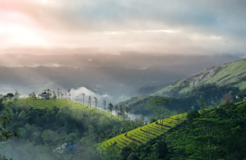 beautiful view from a hill top