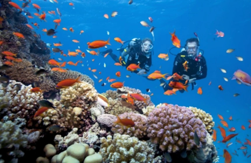 Andaman and Nicobar Islands