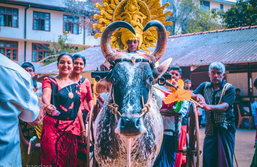 New year celebration in Sri Lanka
