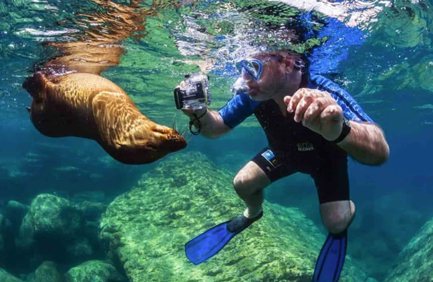Snorkel in Galápagos Islands