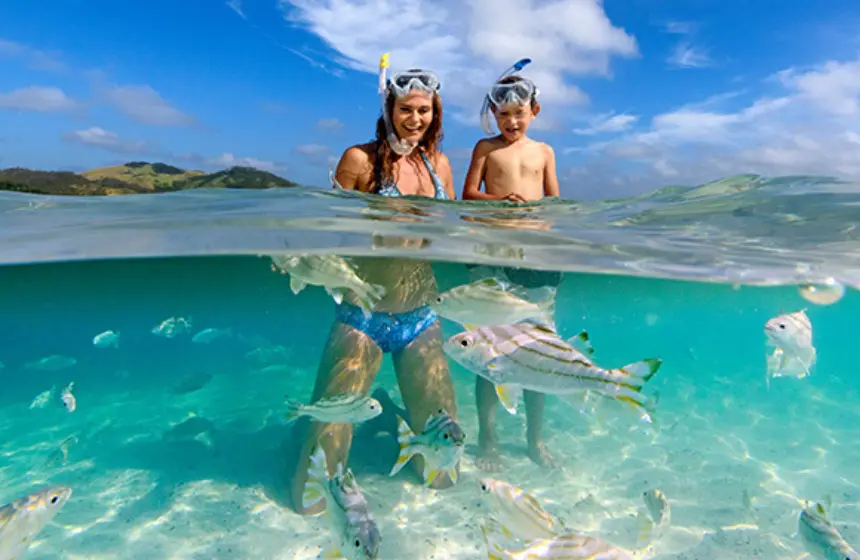 Snorkeling in Fiji