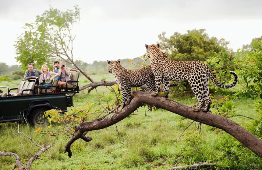 Yala National Park Sri Lanka