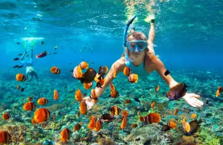 Snorkeling in Havelock and Neil Island