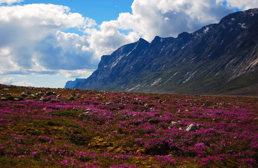 Auyuittuq Nationla Park- National Parks in Canada - Unimoni Travel & Holidays