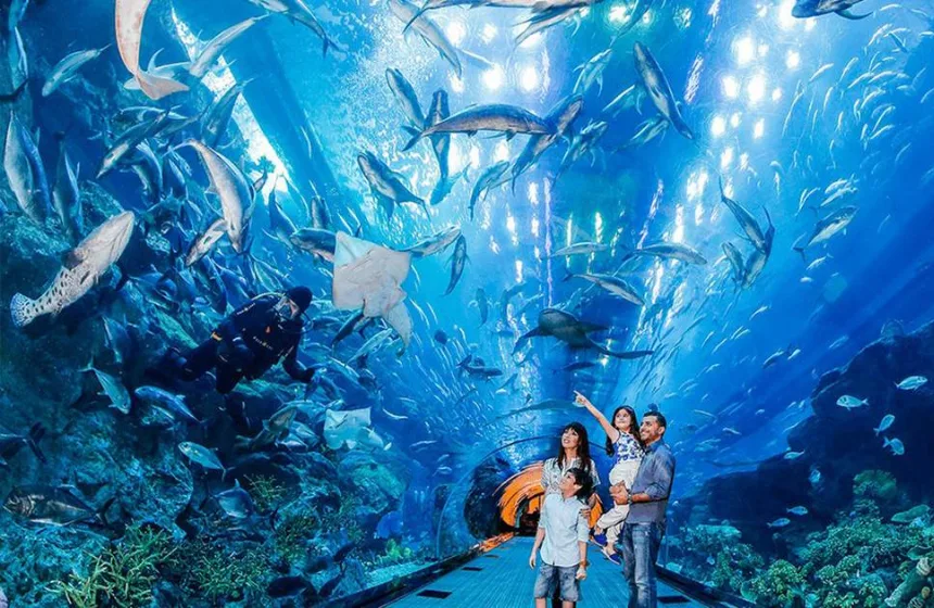 Dubai Aquarium & Undereater Zoo - Dubai tourism with Unimoni Travel