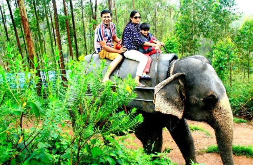 Munnar tourism for kids & family- kerala summer tourism