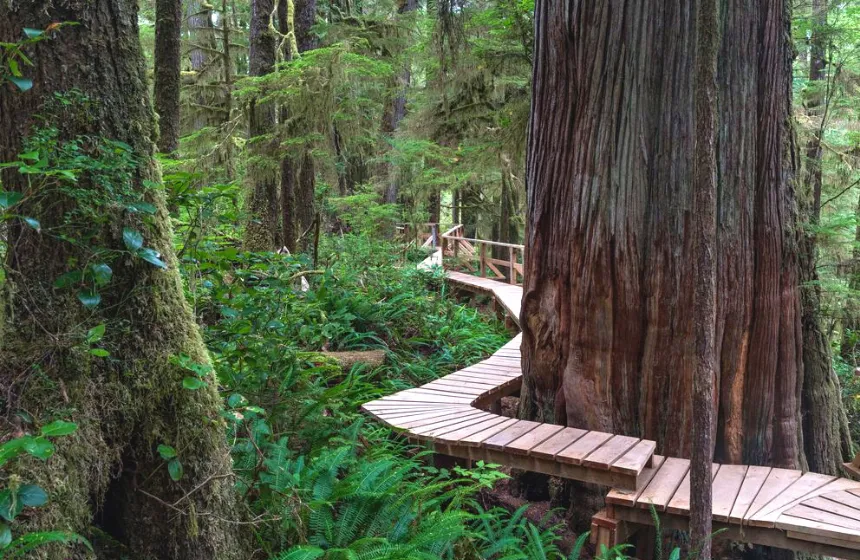 Pacific Rim National Park Reserve- National Parks in Canada - Unimoni Travel & Holidays