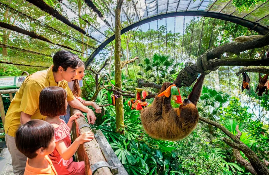 Singapore Zoo - Singapore Tourism with Unimoni Travel & Holidays - Kids & Family tourism
