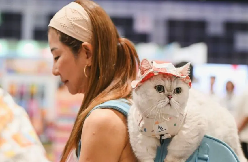 Travel with your pet- Unimoni Travle & Holidays