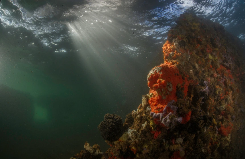 Underwater Tourism - Unimoni Travel & Holidays - The USS Arizona MEmorial (Hawaii, USA)