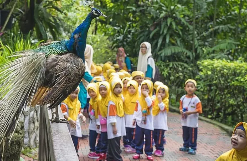 Kuala Lumpur Bird Park - Malaysian Tourism - Family vacation with Unimoni Travel & Holidays