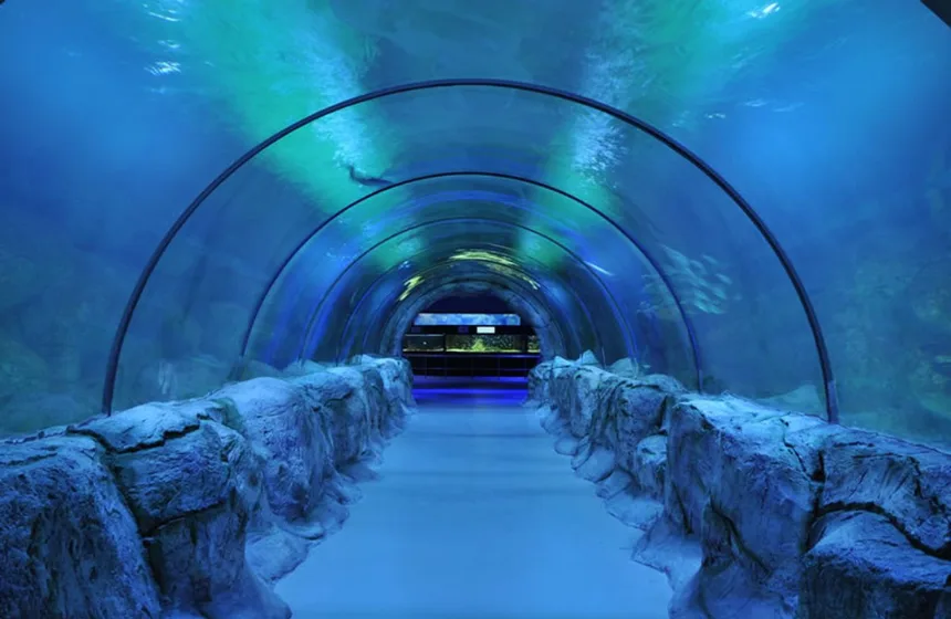 Lokaranjan Aqua World Underwater Zoo - Mysore Tourism, India - Unimoni Travel & Holidays