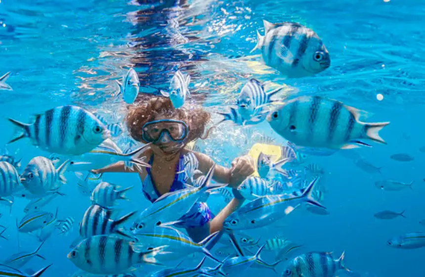 Snorekeling in Fiji - Fiji Tourism with Unimoni Travel and Holidays