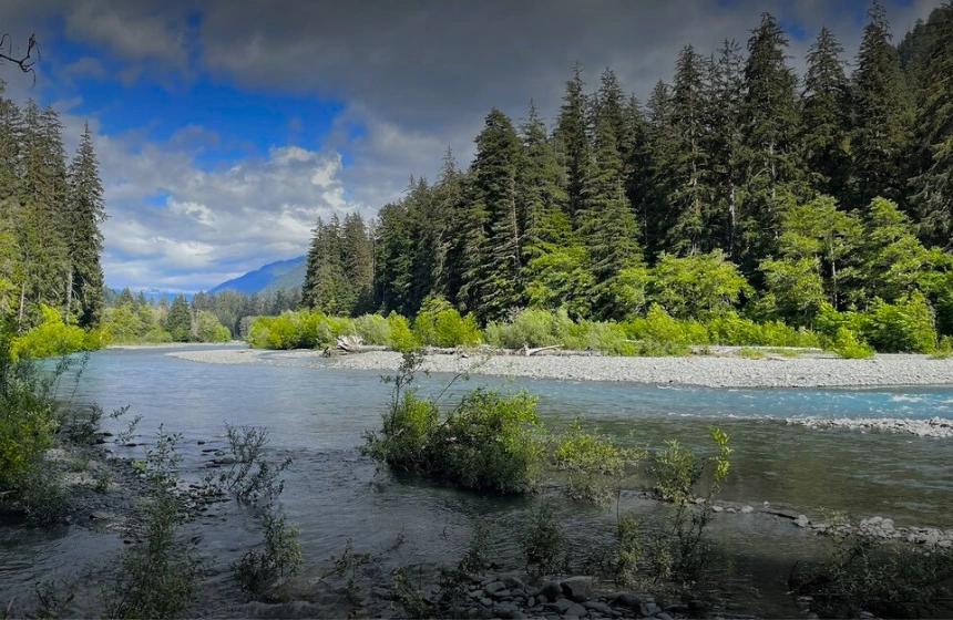 Hoh River Trail to Mineral Creek Falls - Unimoni Travel and Holidays (3)