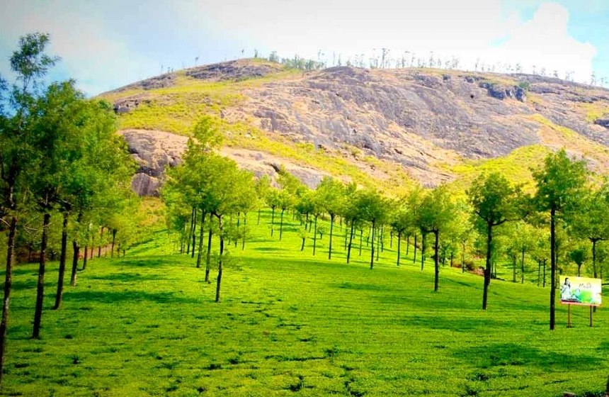 Photo point - Munnnar wayanad tourism with Unimoni Travel and holidays