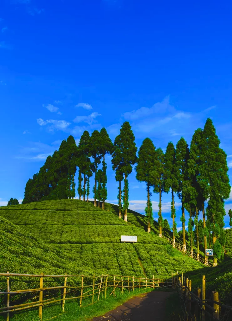 Darjeeling tourism with Unimoni