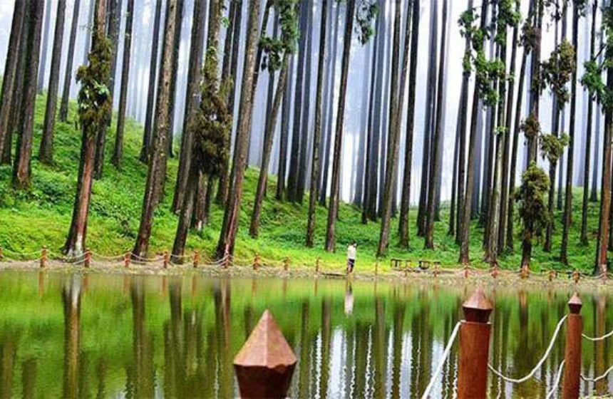 Lamahatta - Darjeeling tourism with Unimoni Travel and holidays