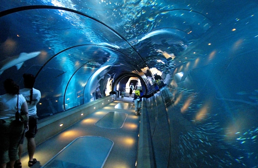 Marine Aquarium - Digha Tourism with Unimoni