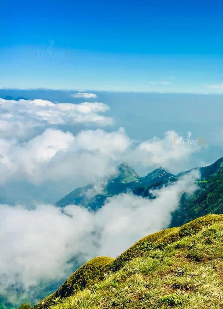 Meesappulimala Tour with Unimoni Travels and Holidays