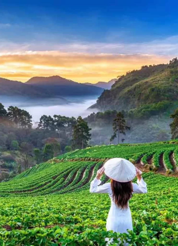 Mizoram Tourism - Unimoni Travel And Holidays