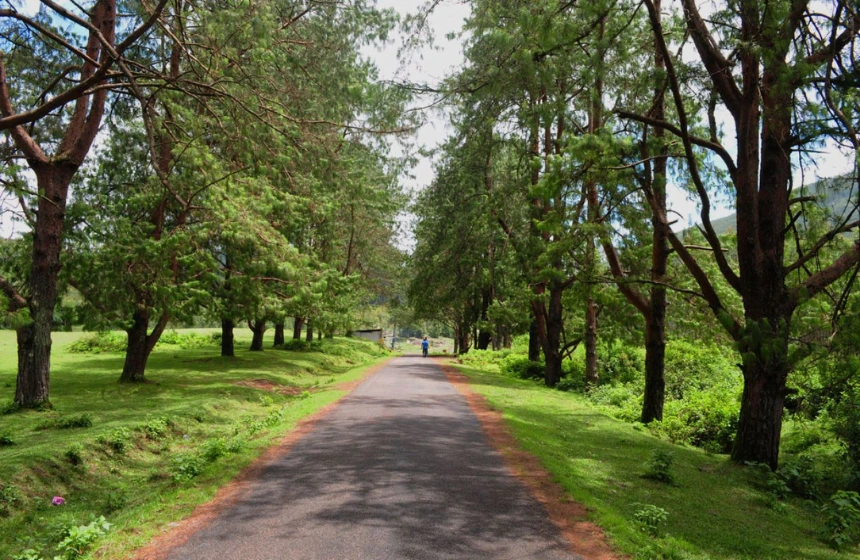 Silent valley village - Meesappuklimala Tourism- unimoni Travel and Holidays