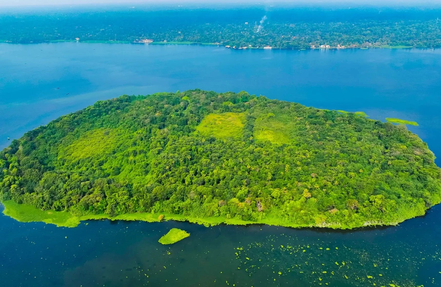 alappuzha - mangrove forest tours in monsoon with unimoni travel and holidays