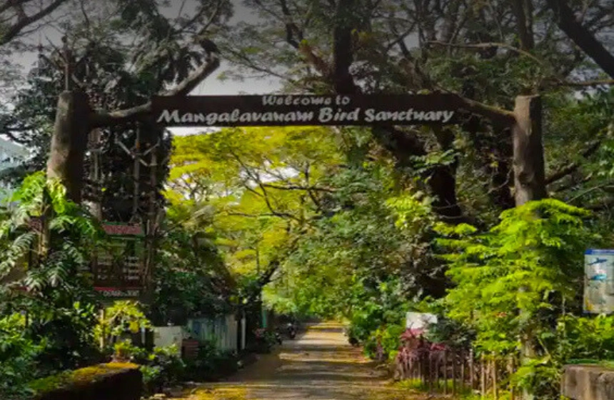 kochi - forest tours in monsoon with unimoni travel and holidays