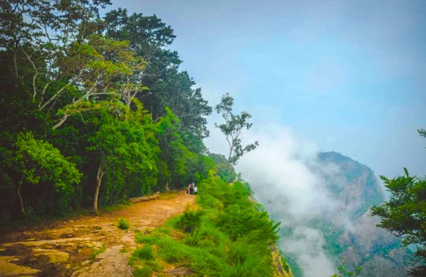 nelliyampathy - forest tours in monsoon with unimoni travel and holidays