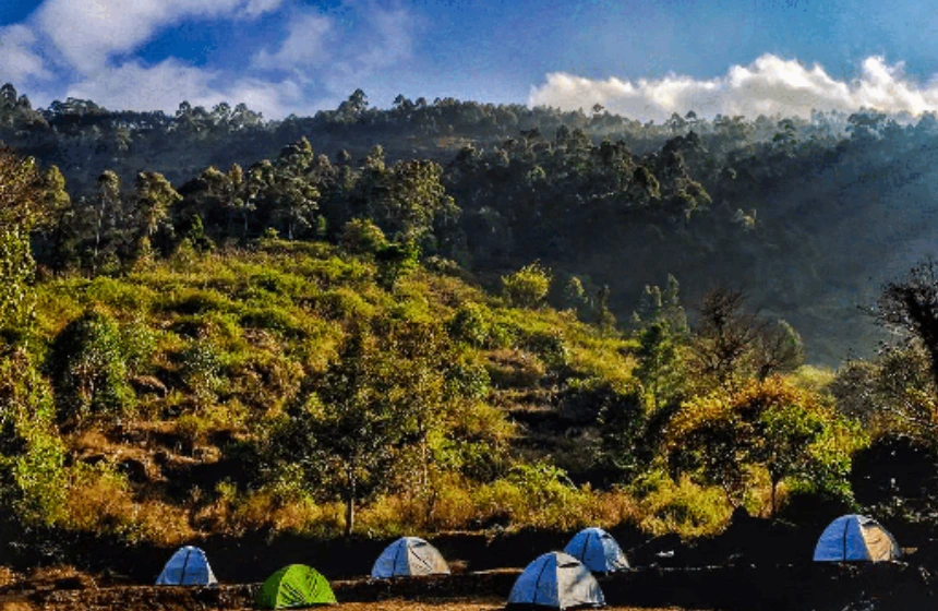 Munnar Staycations- Kerala Tourism with Unimoni Travel and Holidays