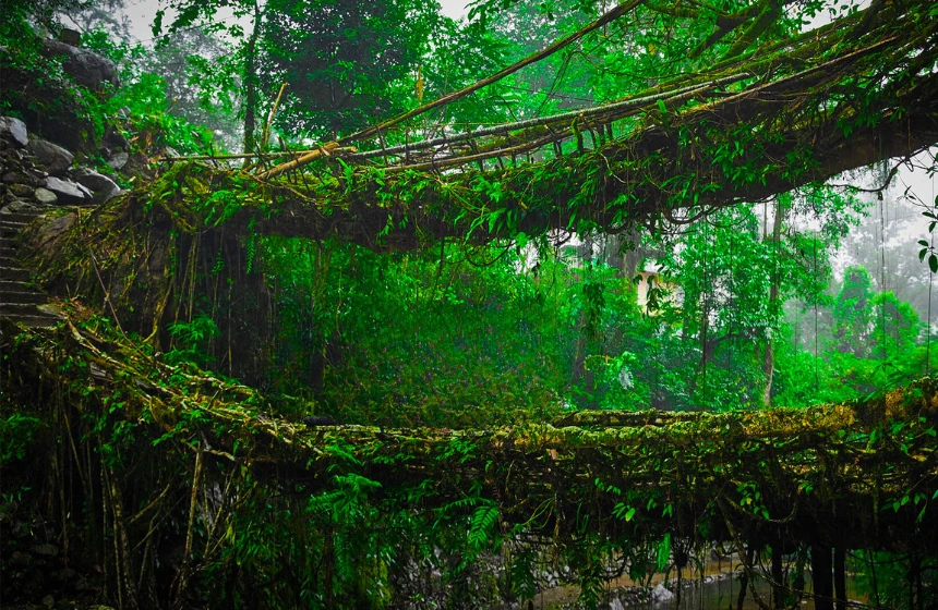Shillong, Meghalaya Tour Packages with Unimoni Travel and Holidays
