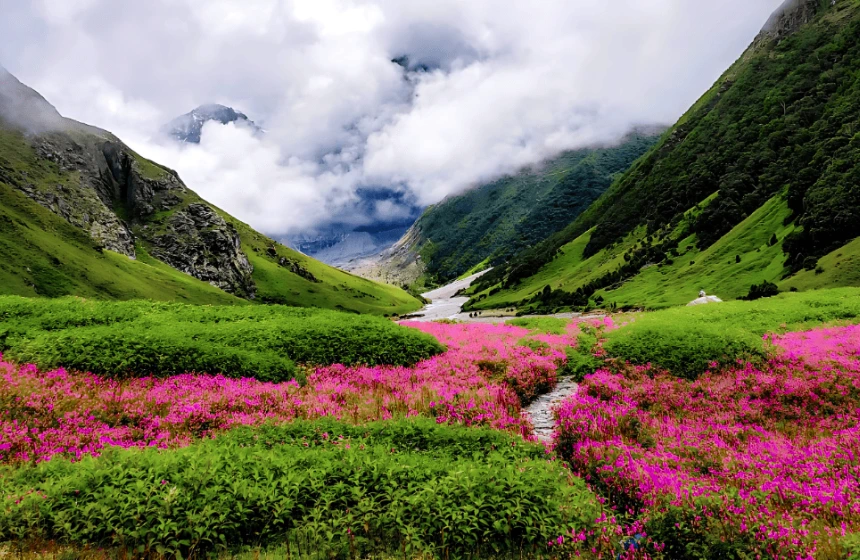 Valley of Flowers, Uttarakhand Tour Packages with Unimoni Travel and Holidays