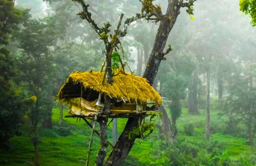 Wayanad, Kerala Tour Packages with Unimoni Travel and Holidays